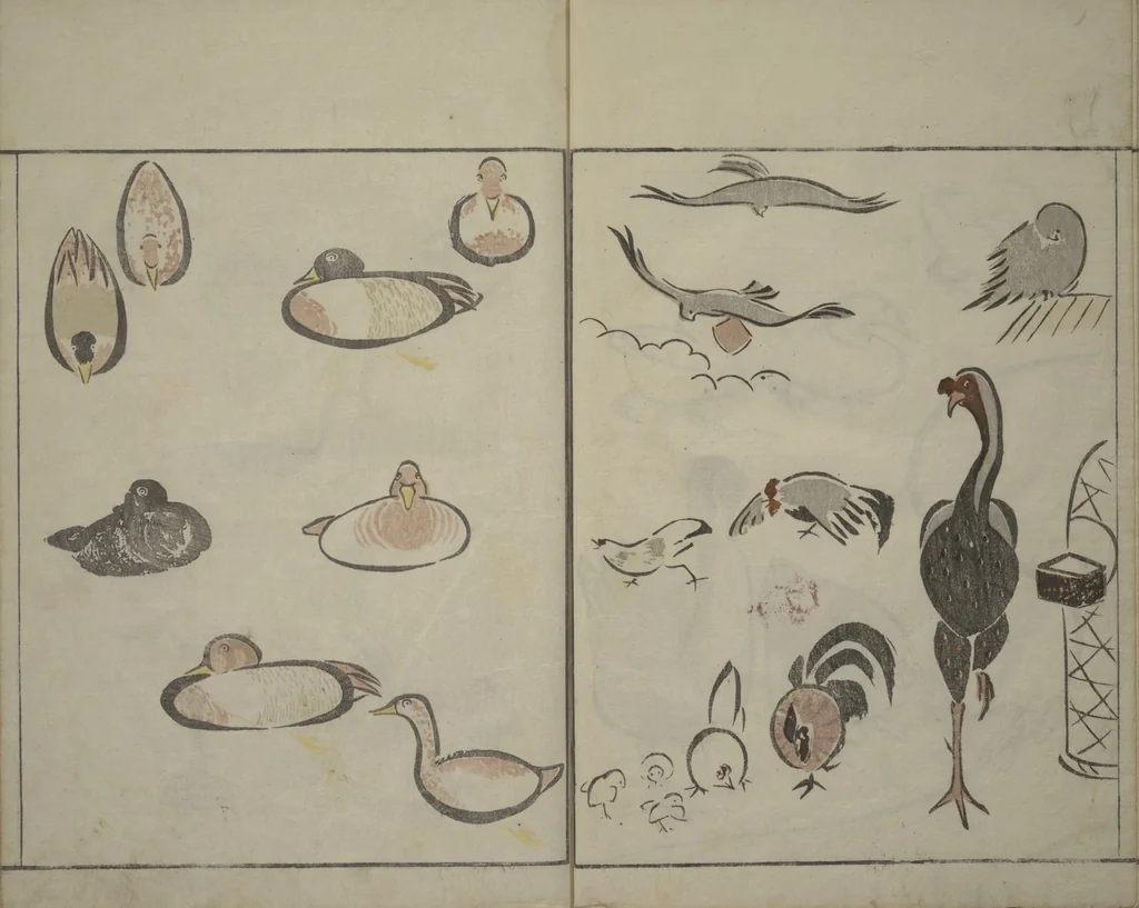 An illustration from How to Draw Birds, Insects and Fish Simply (Chōjū ryakugashiki), 1797, leaf 12