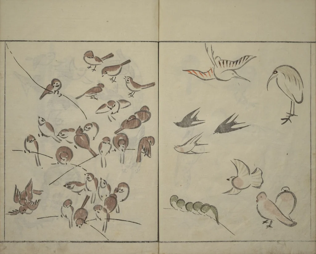 An illustration from How to Draw Birds, Insects and Fish Simply (Chōjū ryakugashiki), 1797, leaf 14