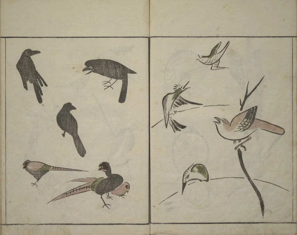 An illustration from How to Draw Birds, Insects and Fish Simply (Chōjū ryakugashiki), 1797, leaf 16