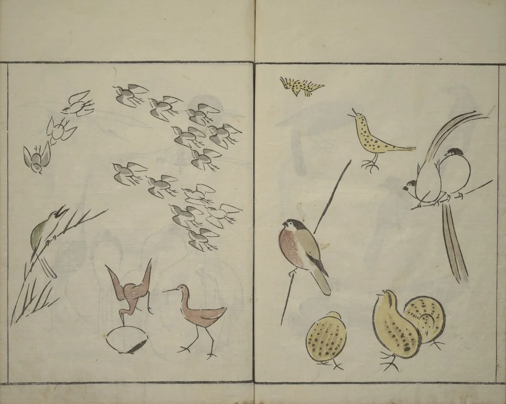 An illustration from How to Draw Birds, Insects and Fish Simply (Chōjū ryakugashiki), 1797, leaf 17