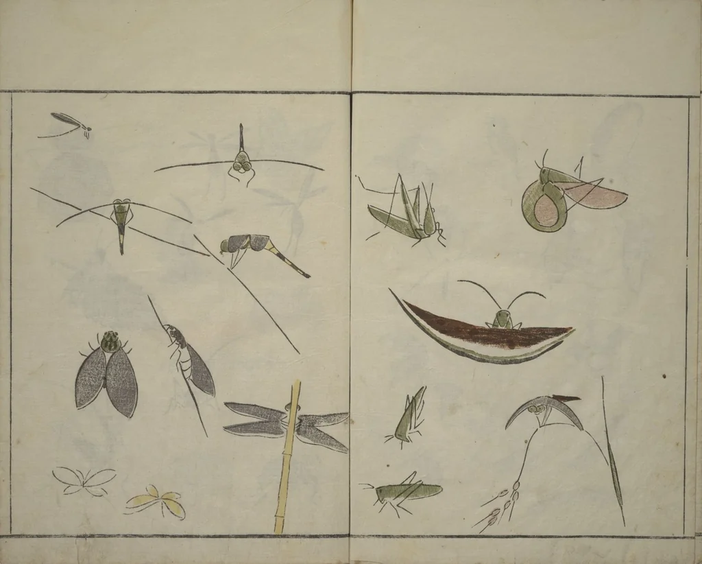 An illustration from How to Draw Birds, Insects and Fish Simply (Chōjū ryakugashiki), 1797, leaf 19