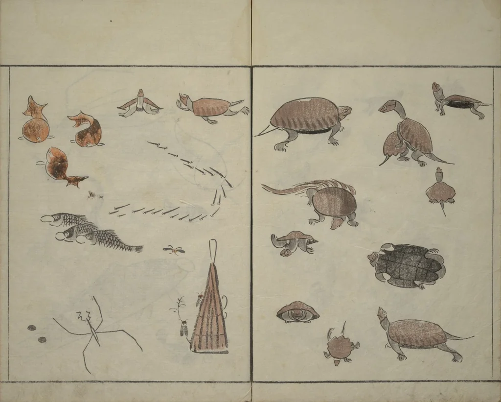 An illustration from How to Draw Birds, Insects and Fish Simply (Chōjū ryakugashiki), 1797, leaf 22