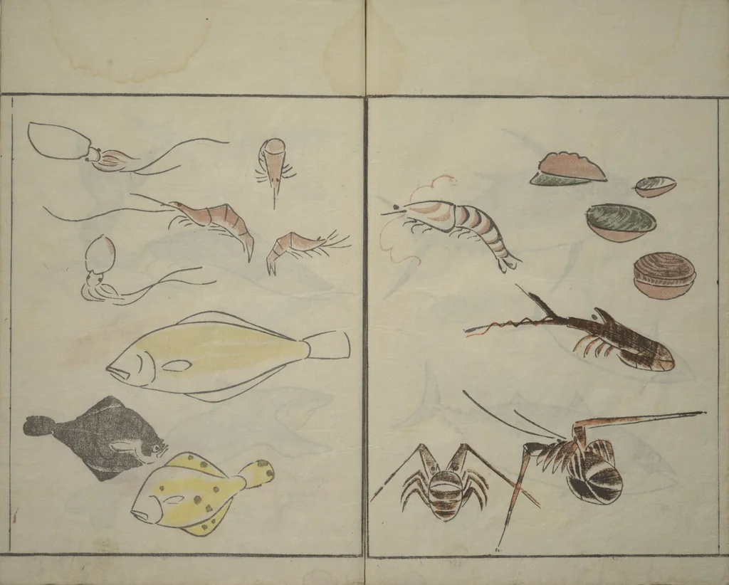 An illustration from How to Draw Birds, Insects and Fish Simply (Chōjū ryakugashiki), 1797, leaf 24
