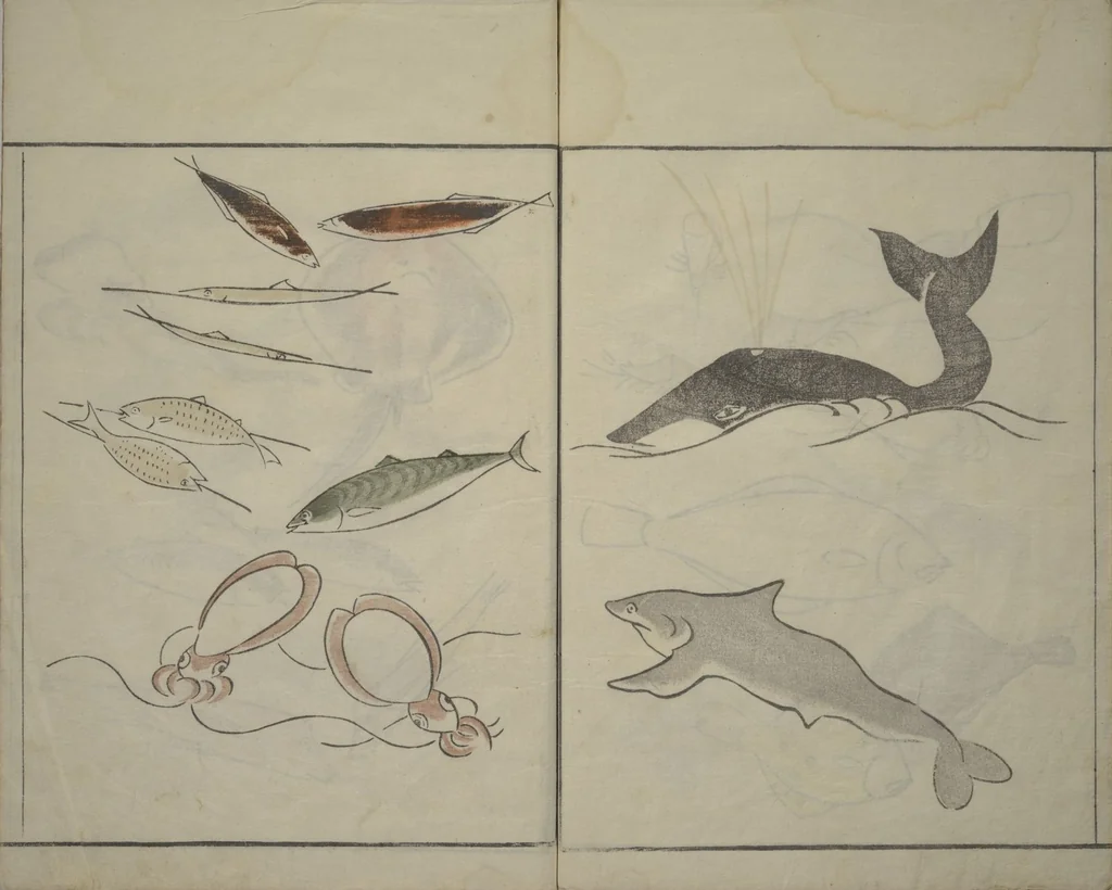 An illustration from How to Draw Birds, Insects and Fish Simply (Chōjū ryakugashiki), 1797, leaf 25