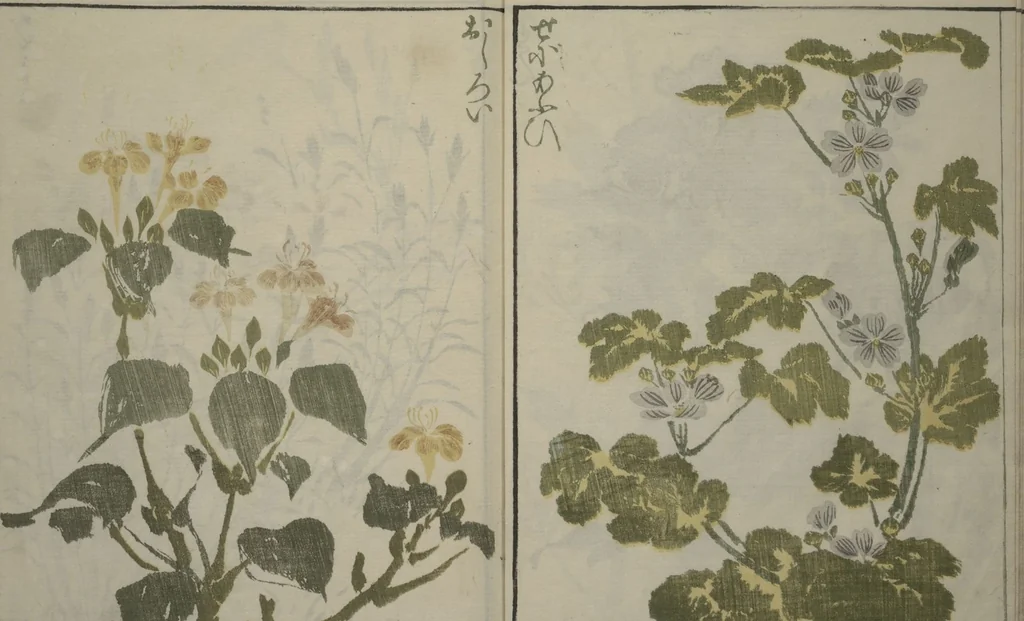 An illustration from How to Draw Plants and Flowers Simply (Sōka ryakugashiki), 1813, leaf 10