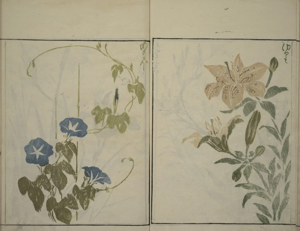 An illustration from How to Draw Plants and Flowers Simply (Sōka ryakugashiki), 1813, leaf 12