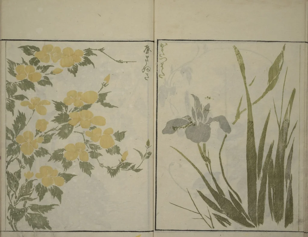 An illustration from How to Draw Plants and Flowers Simply (Sōka ryakugashiki), 1813, leaf 13