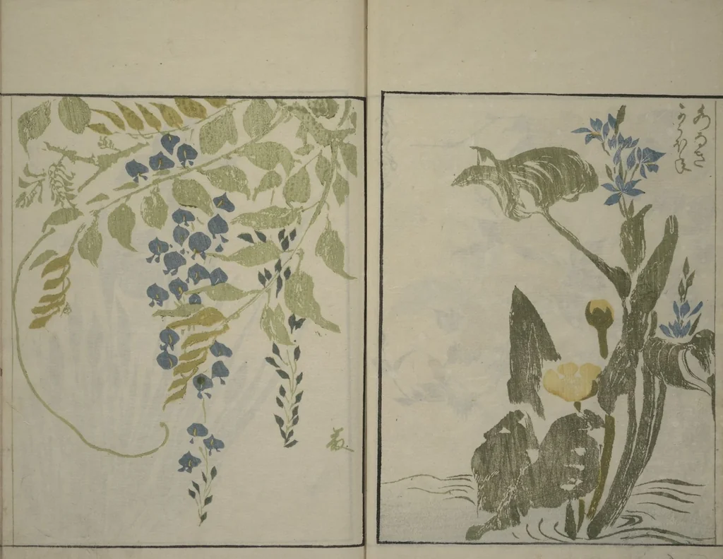An illustration from How to Draw Plants and Flowers Simply (Sōka ryakugashiki), 1813, leaf 14