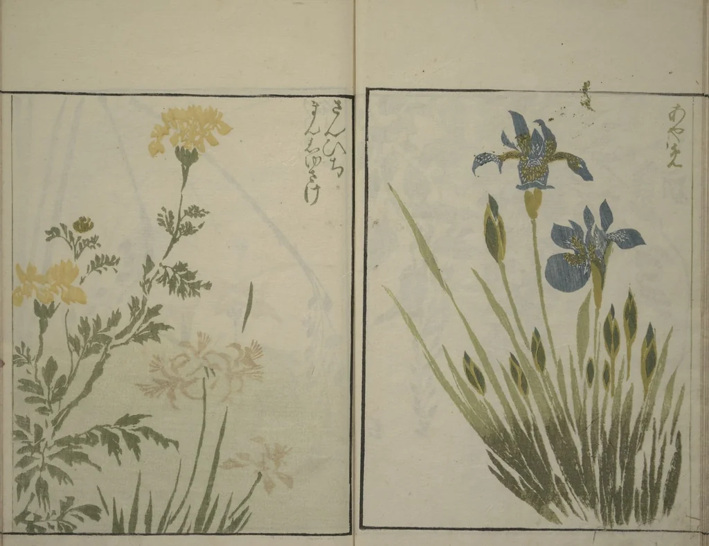 An illustration from How to Draw Plants and Flowers Simply (Sōka ryakugashiki), 1813, leaf 15