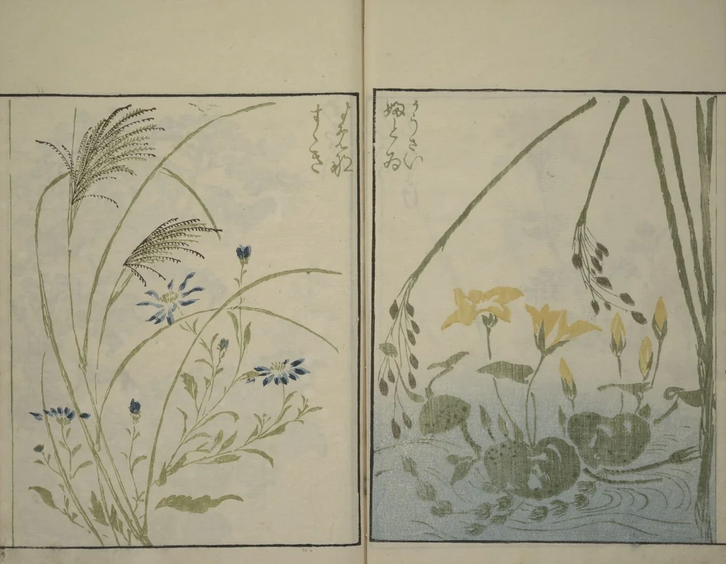 An illustration from How to Draw Plants and Flowers Simply (Sōka ryakugashiki), 1813, leaf 16