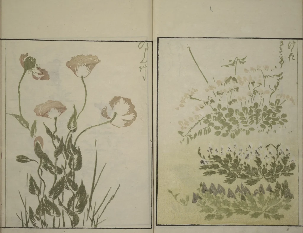 An illustration from How to Draw Plants and Flowers Simply (Sōka ryakugashiki), 1813, leaf 20