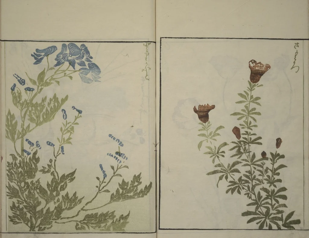 An illustration from How to Draw Plants and Flowers Simply (Sōka ryakugashiki), 1813, leaf 21