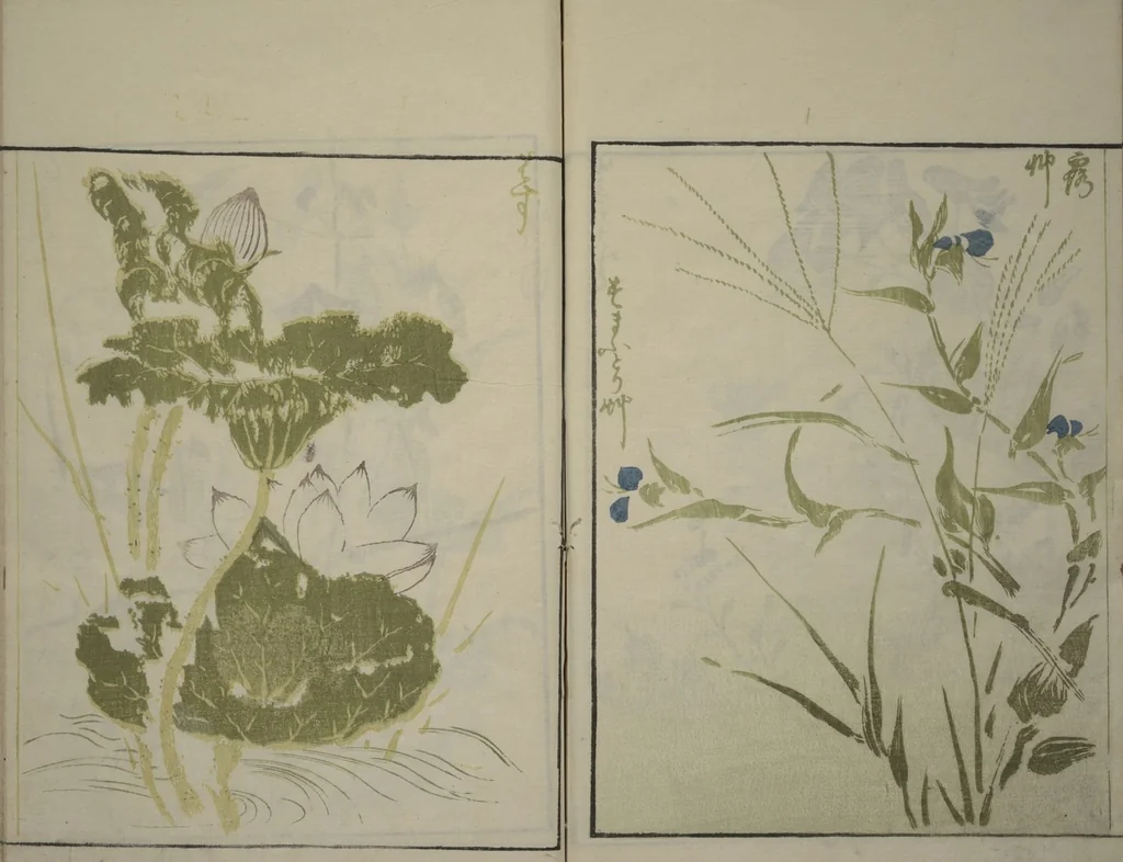 An illustration from How to Draw Plants and Flowers Simply (Sōka ryakugashiki), 1813, leaf 22