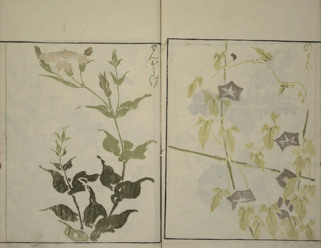 An illustration from How to Draw Plants and Flowers Simply (Sōka ryakugashiki), 1813, leaf 23
