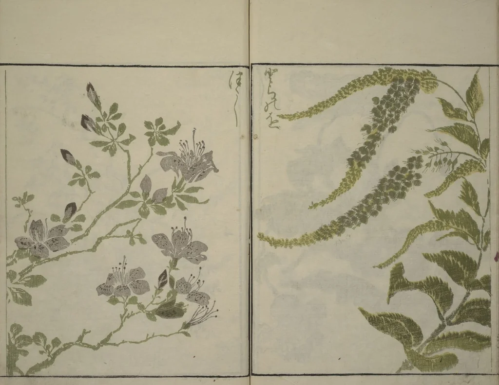 An illustration from How to Draw Plants and Flowers Simply (Sōka ryakugashiki), 1813, leaf 25