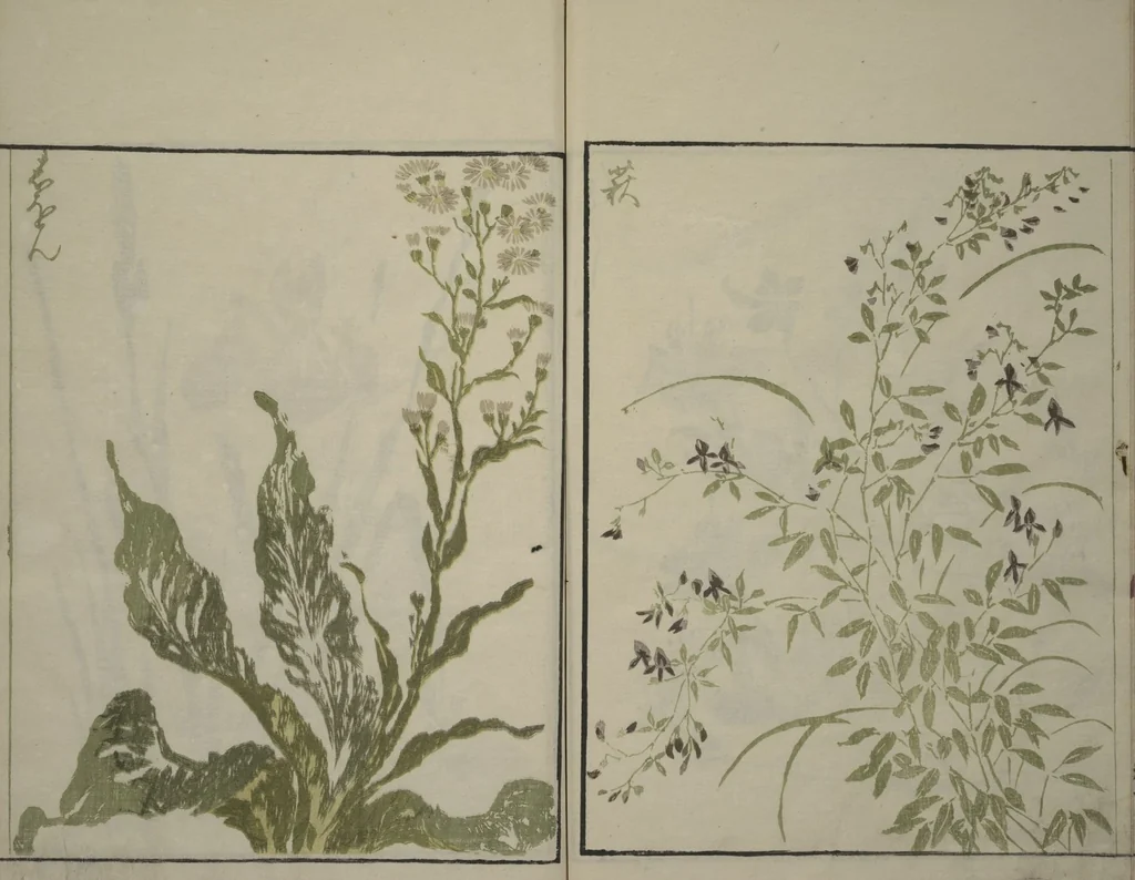 An illustration from How to Draw Plants and Flowers Simply (Sōka ryakugashiki), 1813, leaf 26
