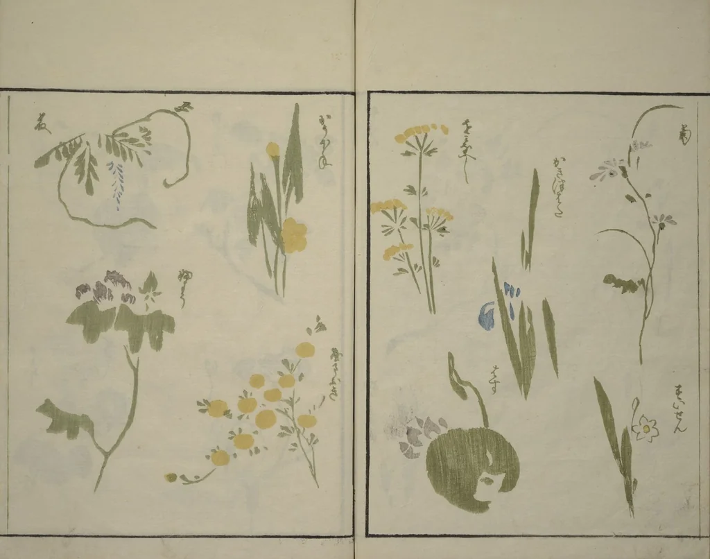 An illustration from How to Draw Plants and Flowers Simply (Sōka ryakugashiki), 1813, leaf 29