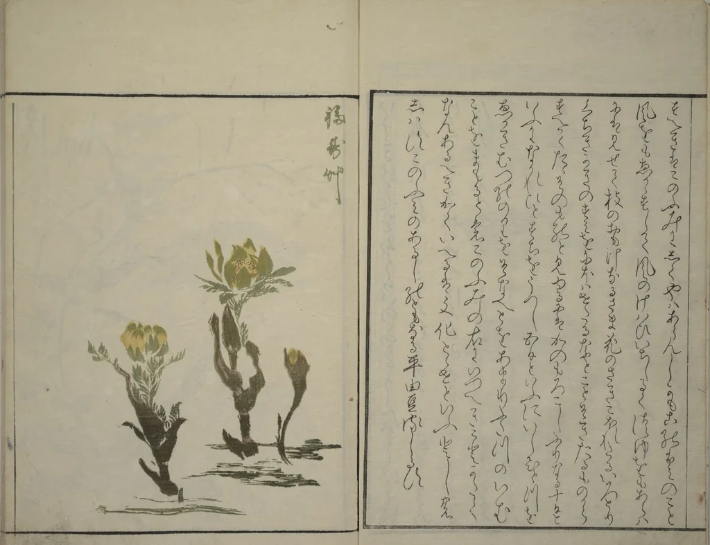 An illustration from How to Draw Plants and Flowers Simply (Sōka ryakugashiki), 1813, leaf 3