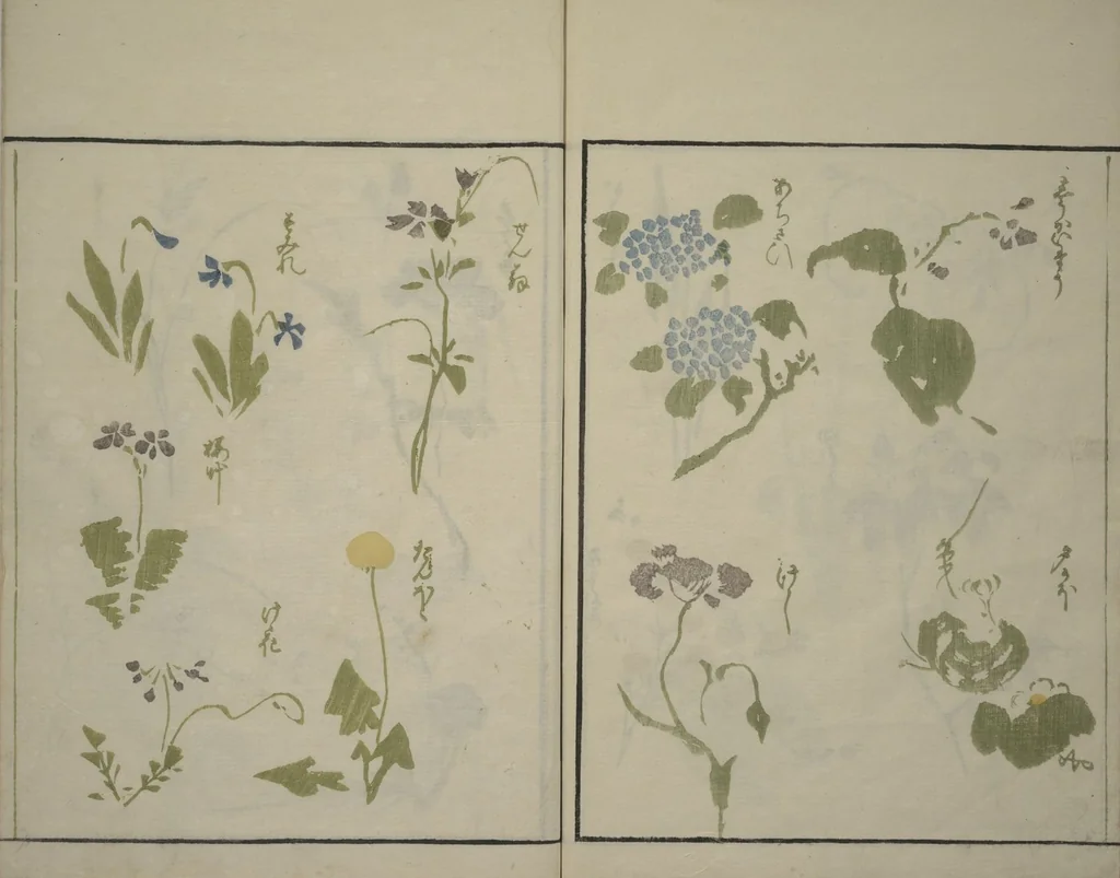 An illustration from How to Draw Plants and Flowers Simply (Sōka ryakugashiki), 1813, leaf 30