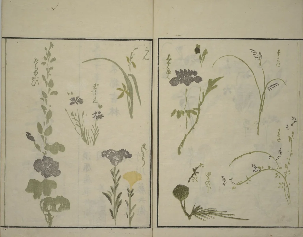 An illustration from How to Draw Plants and Flowers Simply (Sōka ryakugashiki), 1813, leaf 31