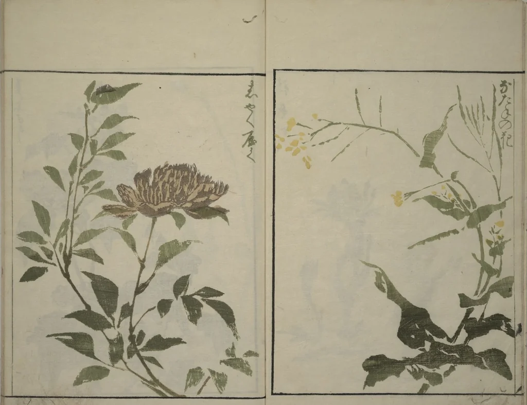 An illustration from How to Draw Plants and Flowers Simply (Sōka ryakugashiki), 1813, leaf 4