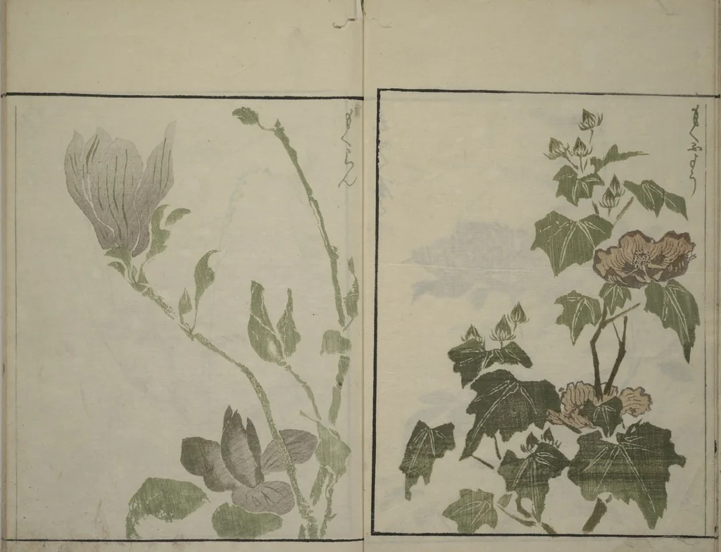 An illustration from How to Draw Plants and Flowers Simply (Sōka ryakugashiki), 1813, leaf 5