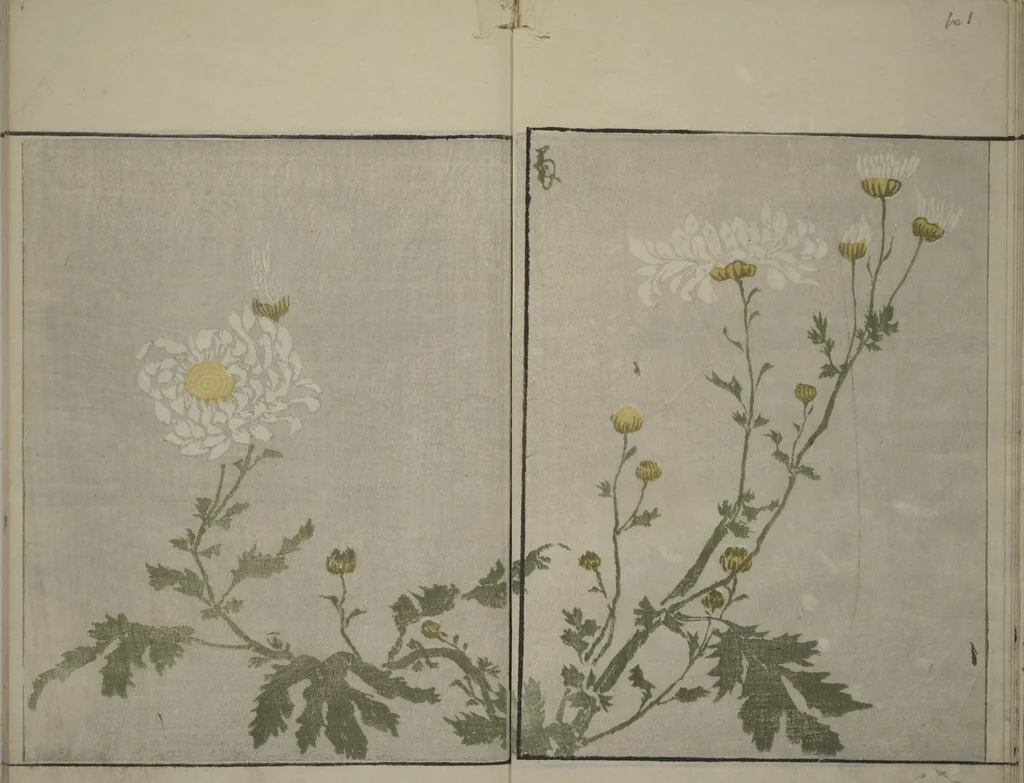 An illustration from How to Draw Plants and Flowers Simply (Sōka ryakugashiki), 1813, leaf 7