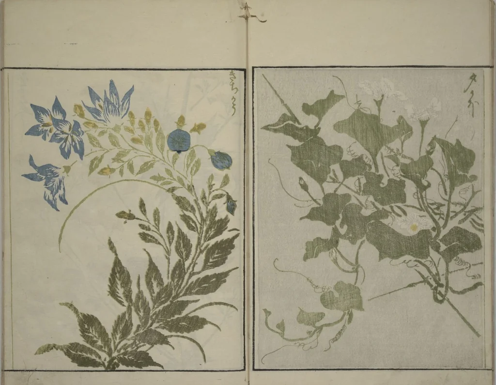 An illustration from How to Draw Plants and Flowers Simply (Sōka ryakugashiki), 1813, leaf 8