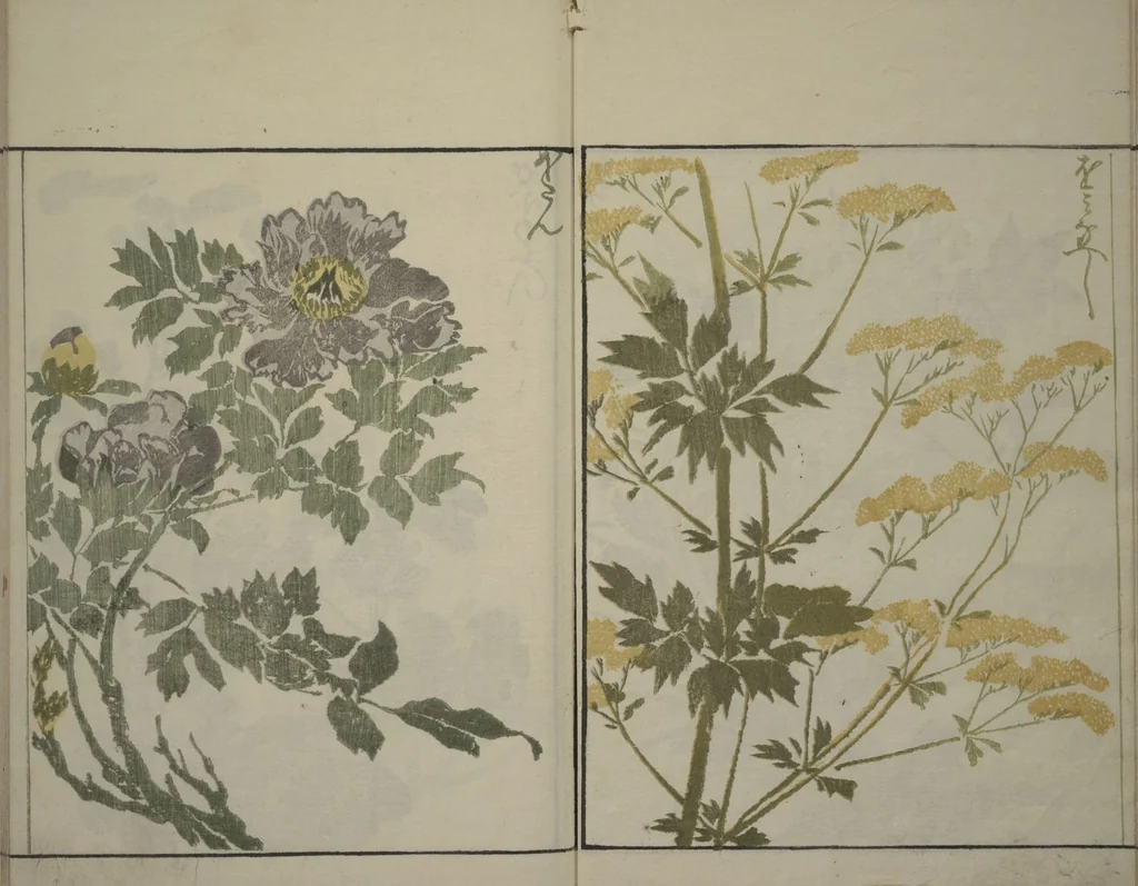 An illustration from How to Draw Plants and Flowers Simply (Sōka ryakugashiki), 1813, leaf 9