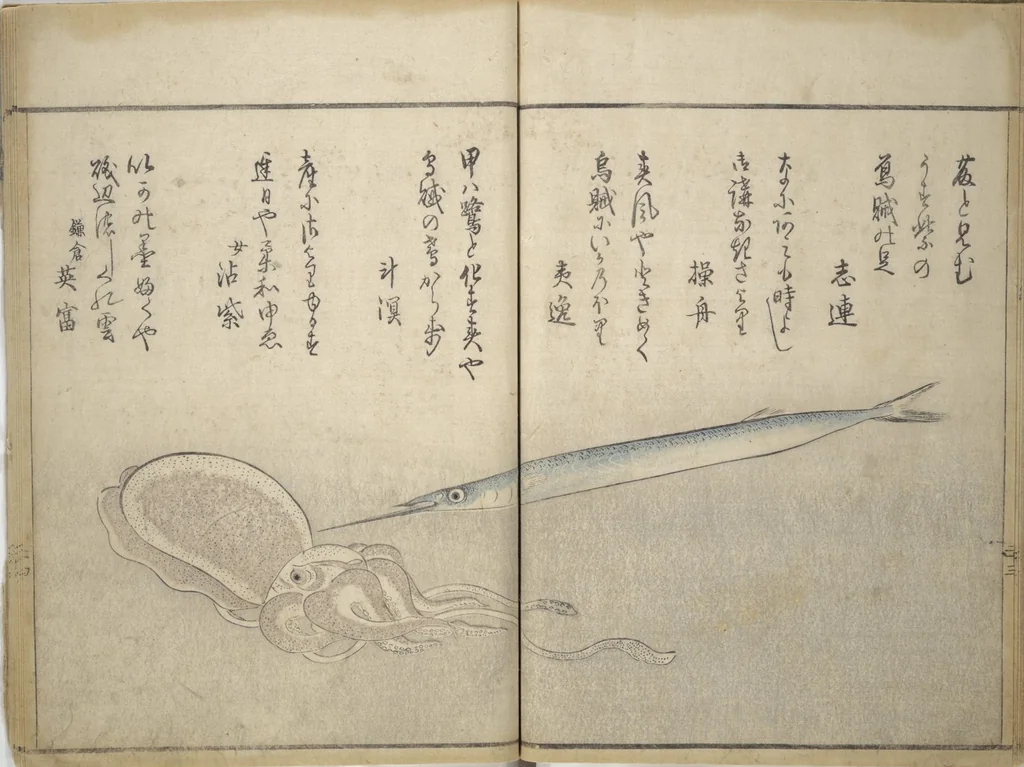An illustration from The Servants of the Dragon King of the Sea: Fish and Shells (Tatsu no miyatsuko gyokai fu), 1802, leaf 27