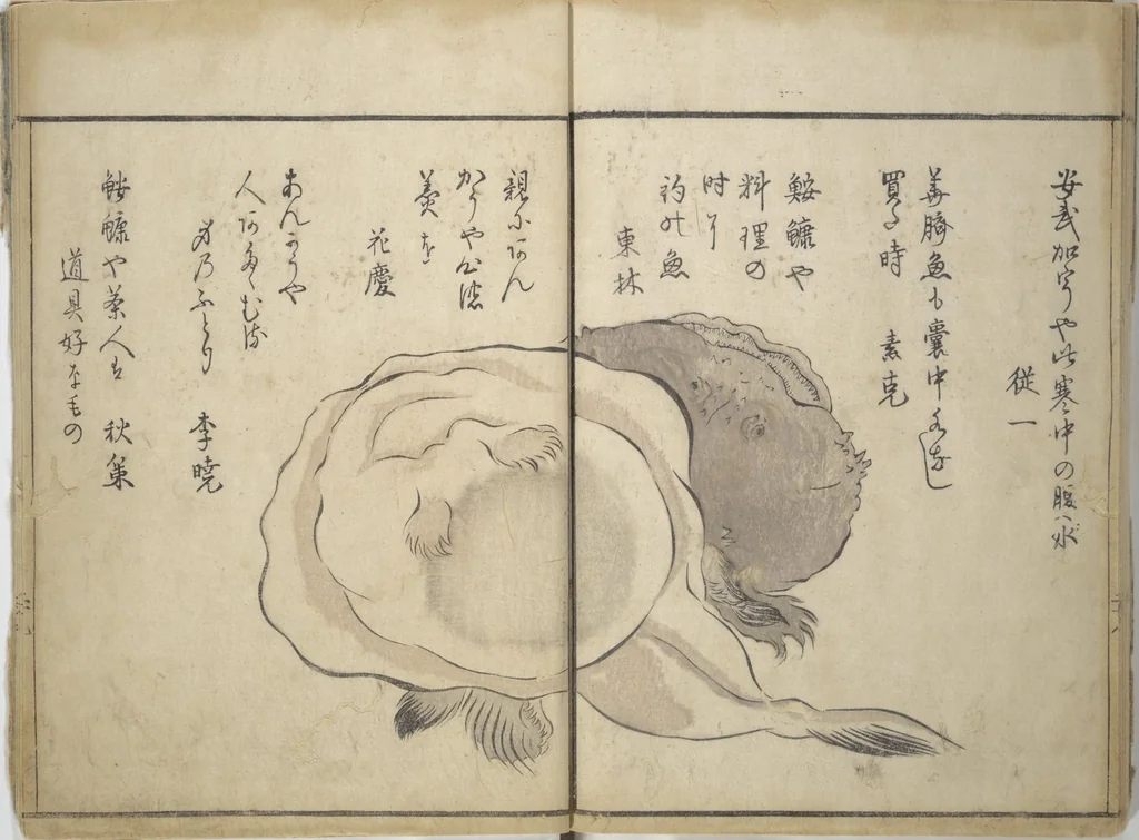 An illustration from The Servants of the Dragon King of the Sea: Fish and Shells (Tatsu no miyatsuko gyokai fu), 1802, leaf 32
