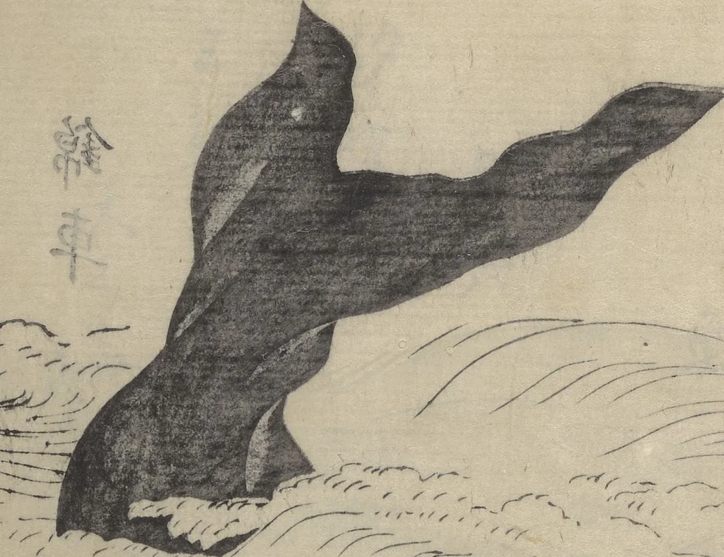 An illustration from The Servants of the Dragon King of the Sea: Fish and Shells (Tatsu no miyatsuko gyokai fu), 1802, leaf 4
