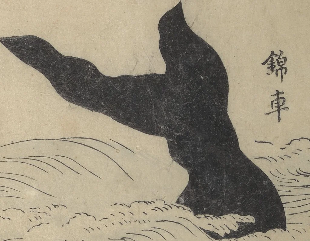 An illustration from The Servants of the Dragon King of the Sea: Fish and Shells (Tatsu no miyatsuko gyokai fu), 1802, leaf 5