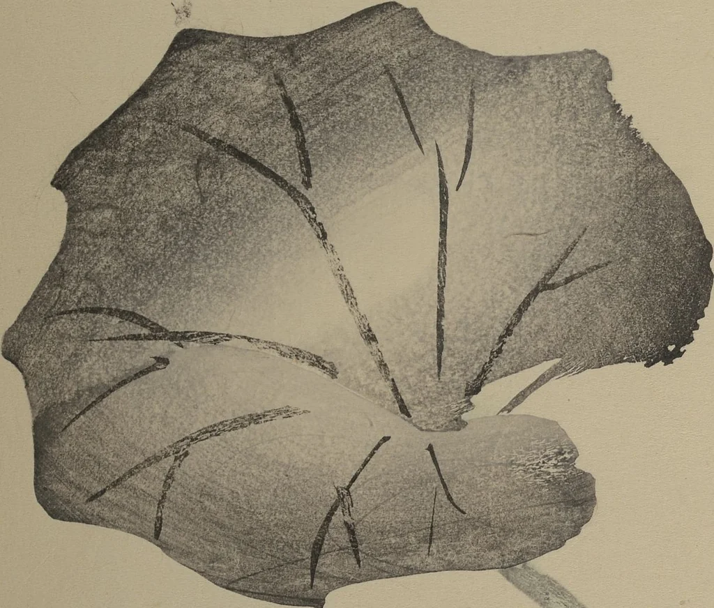 An illustration from Kinkadō's Album of Drawings by Keibun (Keibun Kinka chō), 1898, leaf 13