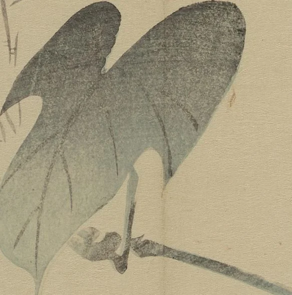 An illustration from Kinkadō's Album of Drawings by Keibun (Keibun Kinka chō), 1898, leaf 14