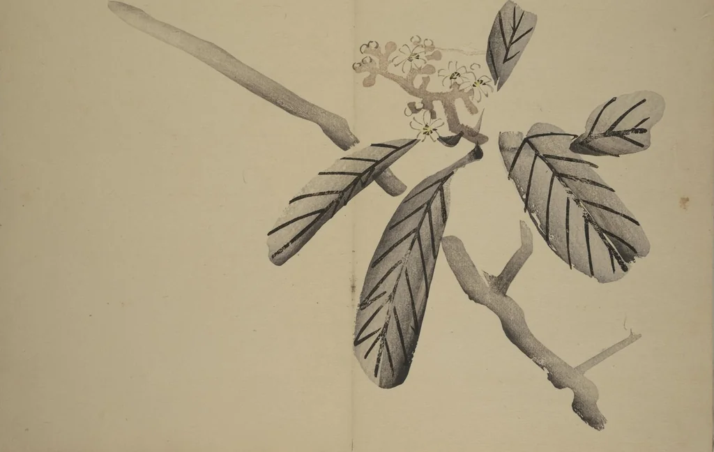 An illustration from Kinkadō's Album of Drawings by Keibun (Keibun Kinka chō), 1898, leaf 9