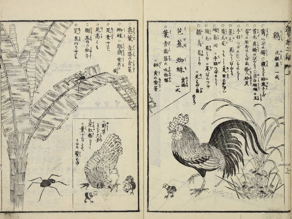 An illustration from Shiki tsukurimono shukō no tane / [Matsukawa Hanzan ga], leaf 5
