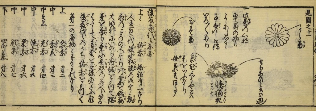 An illustration from Banpō zensho : Volume 13, 1770, leaf 9