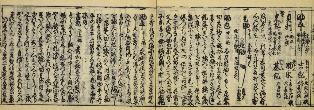 An illustration from Banpō zensho : Volume 11, 1770, leaf 21