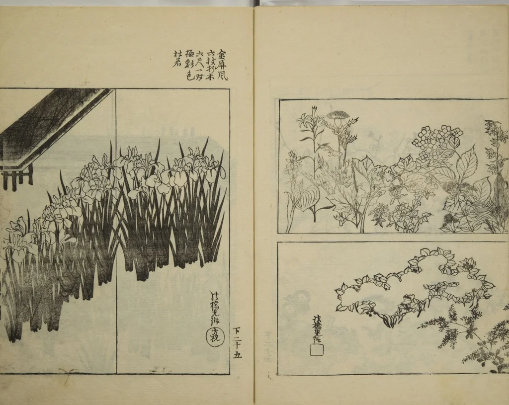 An illustration from One Hundred Paintings by Kōrin (Kōrin hyakuzu) : [volume 4], 1826, leaf 7
