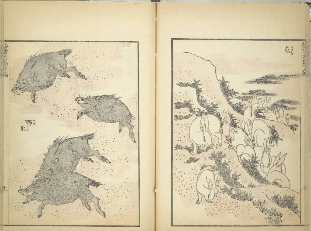 An illustration from Transmitting the Spirit, Revealing the Form of Things, Volume 1 to 15 of Hokusai Sketchbooks (Denshin kaishu: Hokusai manga, shohen - jugohen), 1848, leaf 15