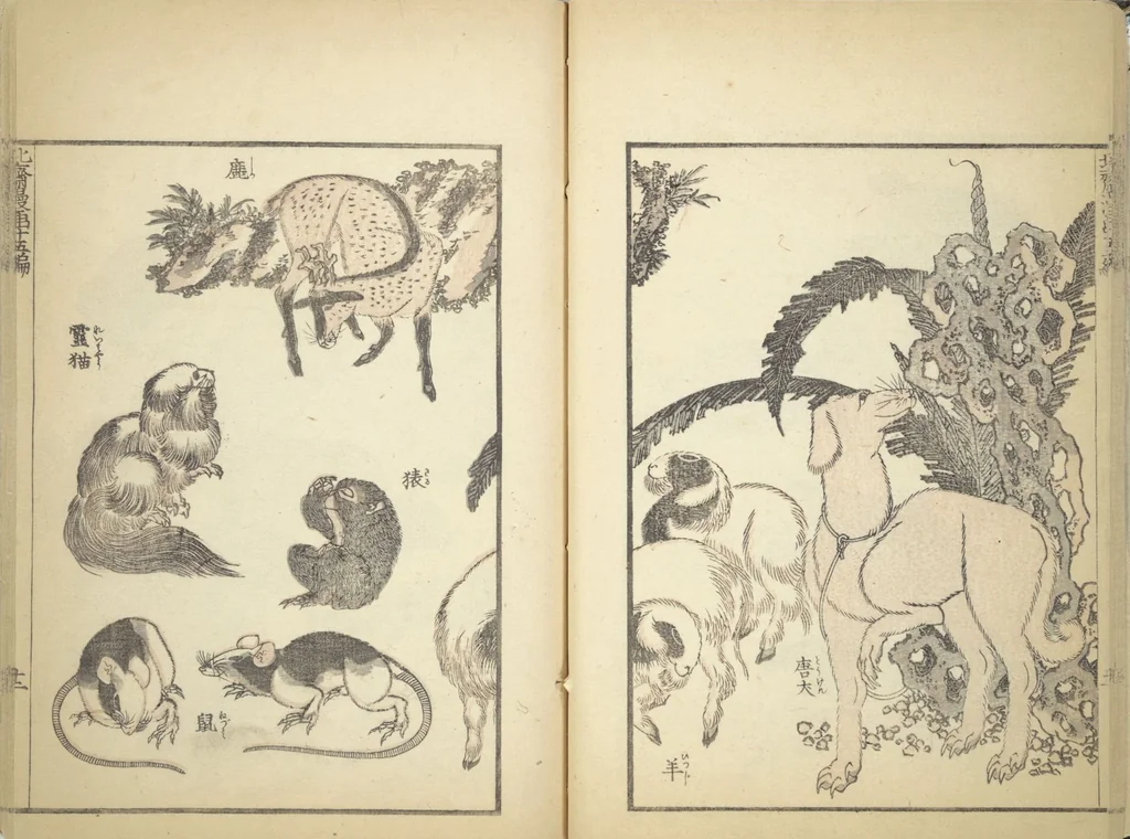 An illustration from Transmitting the Spirit, Revealing the Form of Things, Volume 1 to 15 of Hokusai Sketchbooks (Denshin kaishu: Hokusai manga, shohen - jugohen), 1848, leaf 16