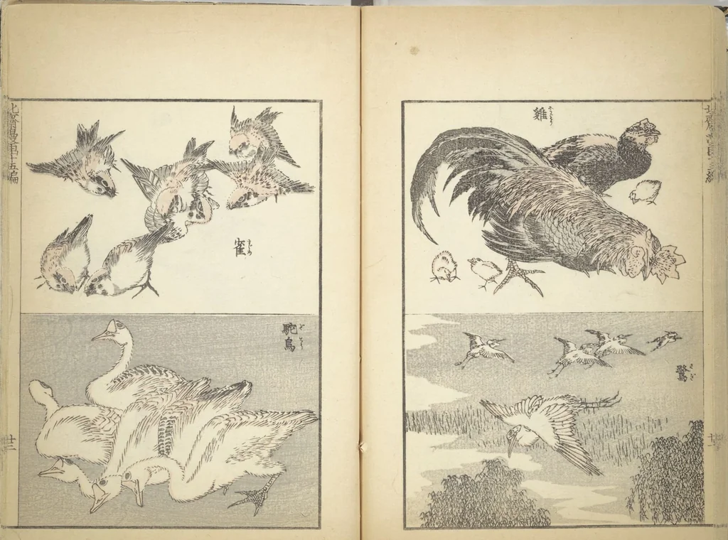 An illustration from Transmitting the Spirit, Revealing the Form of Things, Volume 1 to 15 of Hokusai Sketchbooks (Denshin kaishu: Hokusai manga, shohen - jugohen), 1848, leaf 26