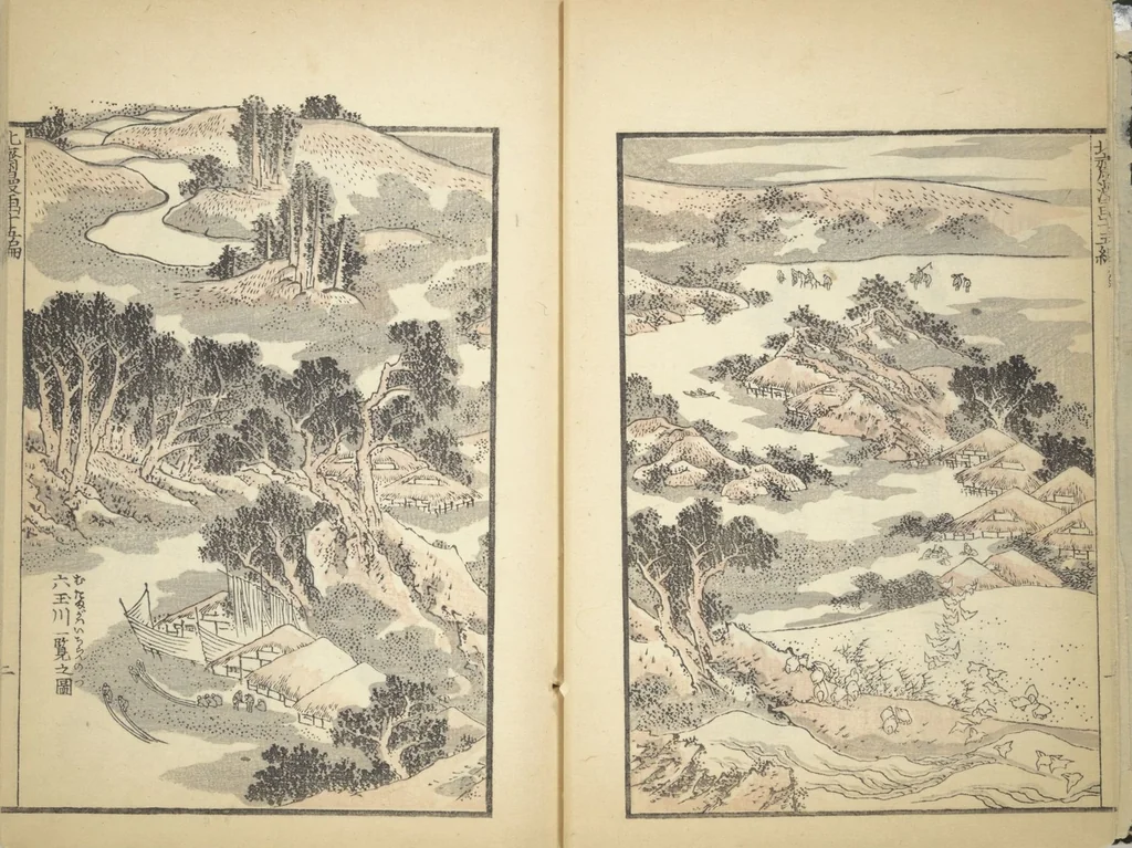 An illustration from Transmitting the Spirit, Revealing the Form of Things, Volume 1 to 15 of Hokusai Sketchbooks (Denshin kaishu: Hokusai manga, shohen - jugohen), 1848, leaf 6