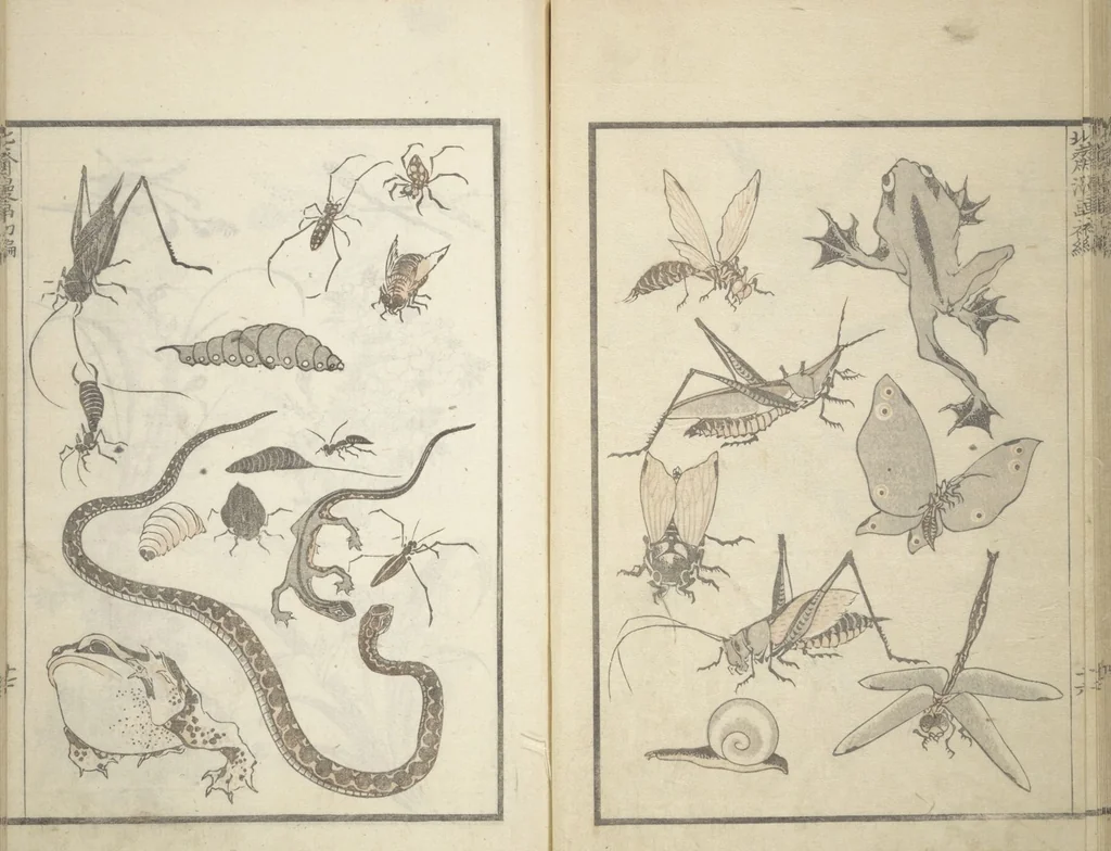 An illustration from Transmitting the Spirit, Revealing the Form of Things, Volume 1 to 15 of Hokusai Sketchbooks (Denshin kaishu: Hokusai manga, shohen - jugohen), 1848, leaf 19