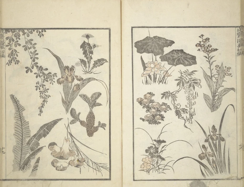An illustration from Transmitting the Spirit, Revealing the Form of Things, Volume 1 to 15 of Hokusai Sketchbooks (Denshin kaishu: Hokusai manga, shohen - jugohen), 1848, leaf 21