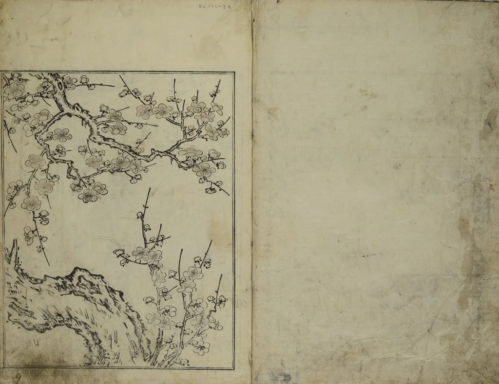 An illustration from Picture Book of the Evergreens (Ehon tokiwagusa), 1731, leaf 2