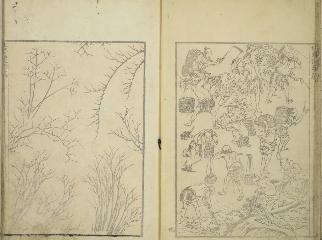 An illustration from Transmitting the Spirit, Revealing the Form of Things, Volume 1 to 15 of Hokusai Sketchbooks (Denshin kaishu: Hokusai manga, shohen - jugohen), 1848, leaf 11