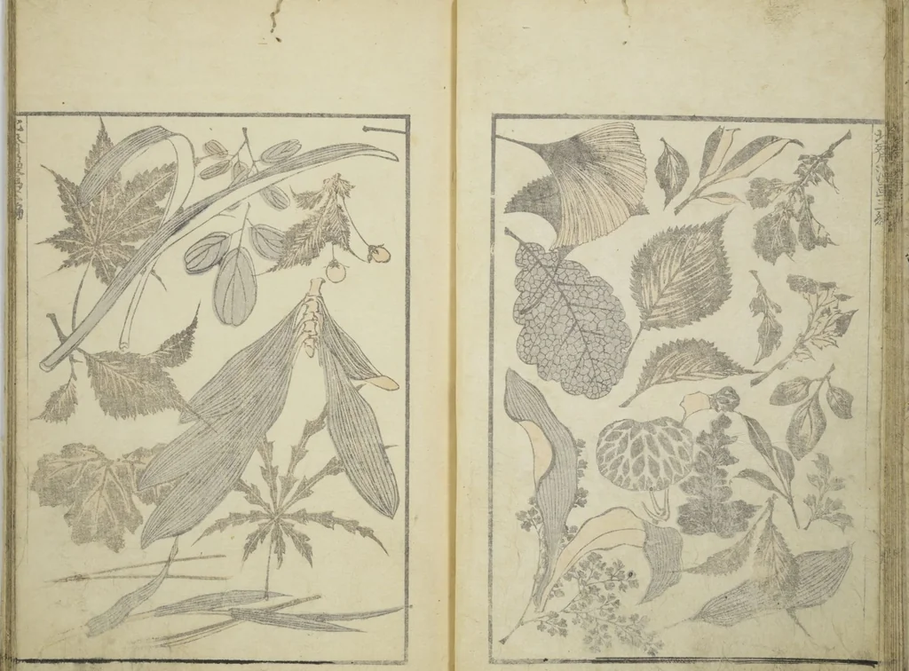 An illustration from Transmitting the Spirit, Revealing the Form of Things, Volume 1 to 15 of Hokusai Sketchbooks (Denshin kaishu: Hokusai manga, shohen - jugohen), 1848, leaf 12