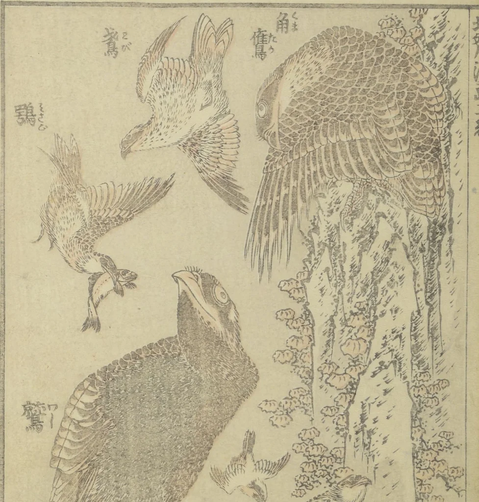 An illustration from Transmitting the Spirit, Revealing the Form of Things, Volume 1 to 15 of Hokusai Sketchbooks (Denshin kaishu: Hokusai manga, shohen - jugohen), 1848, leaf 28